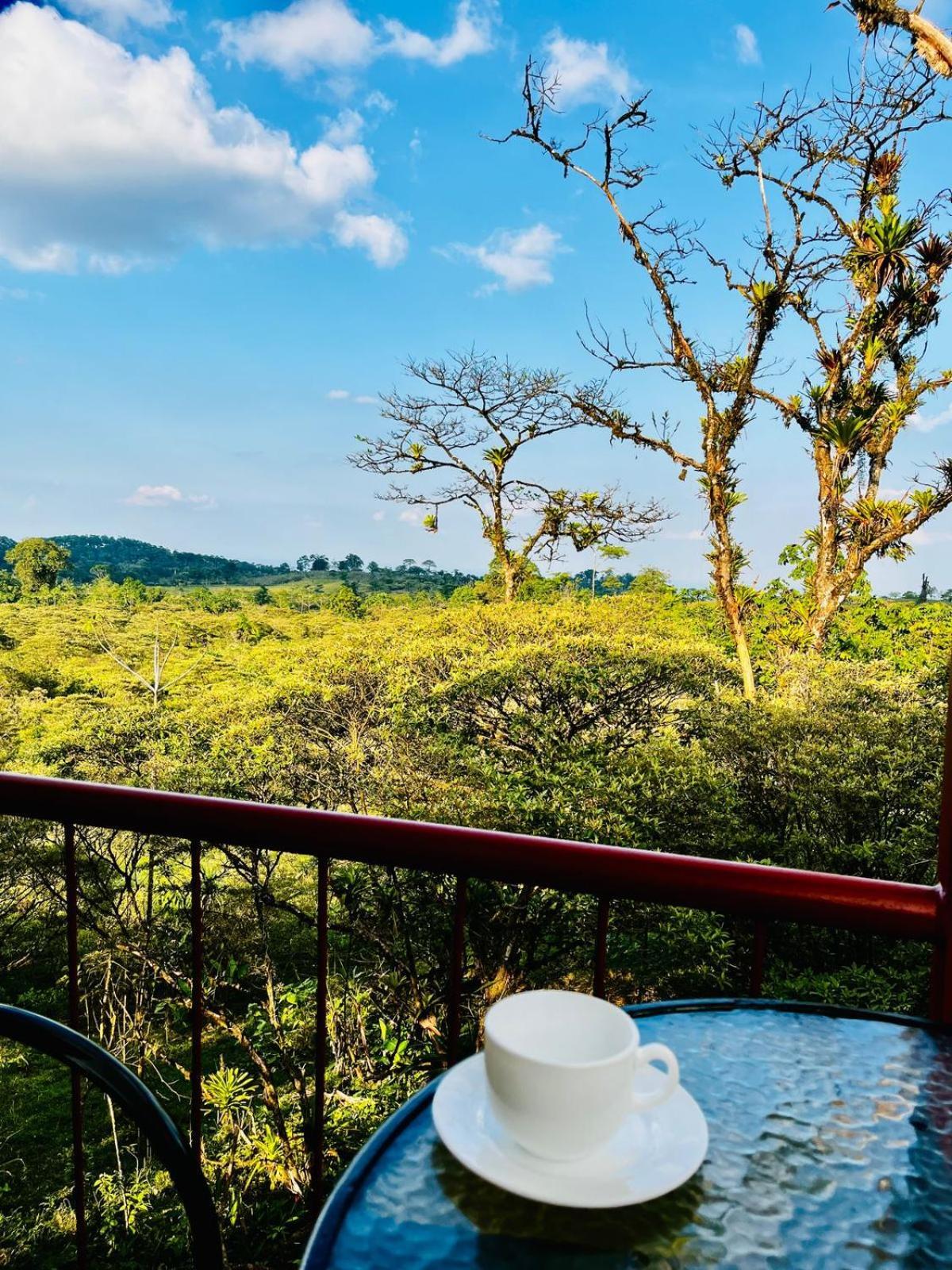 Garza Del Sol Glamping Rio Celeste Buganvilia Dış mekan fotoğraf